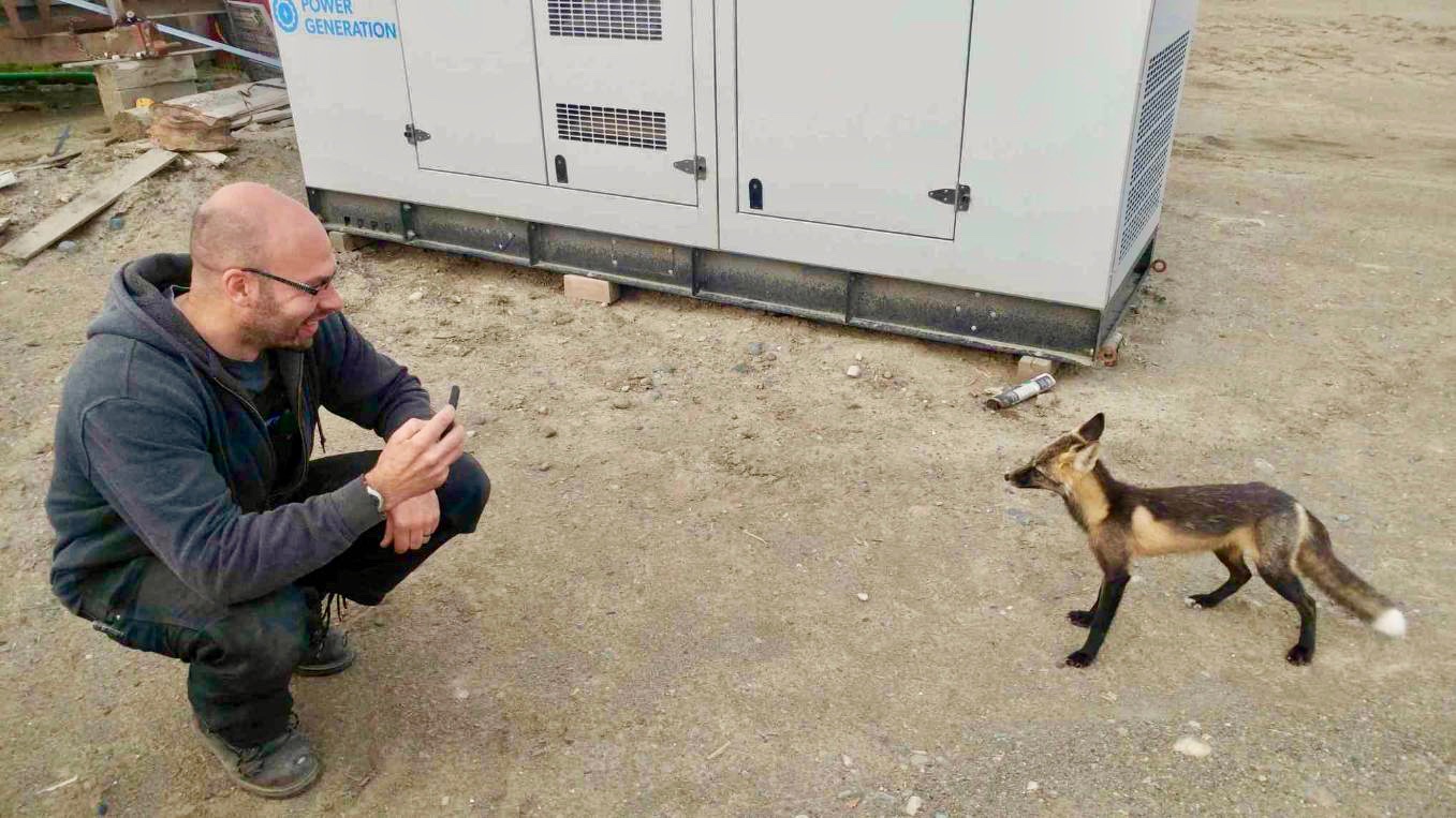 Primus Electric photo 2